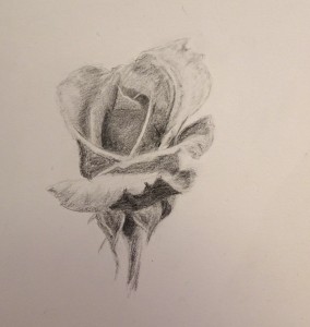 Cathy rose crayon 10-2017              